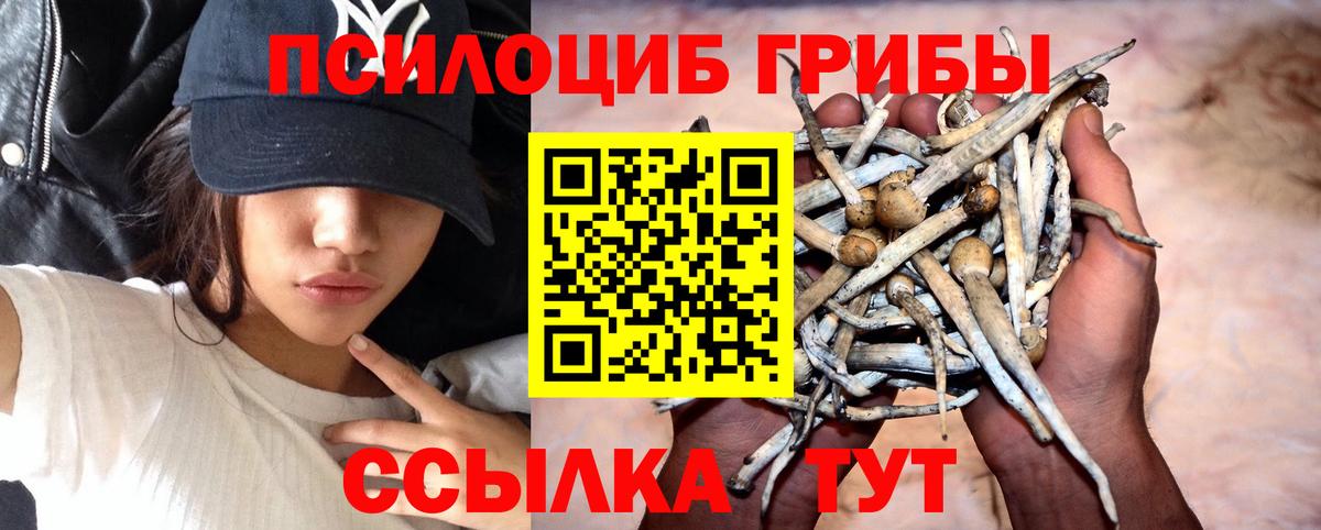 Псилоцибиновые грибы прущие грибы Советск